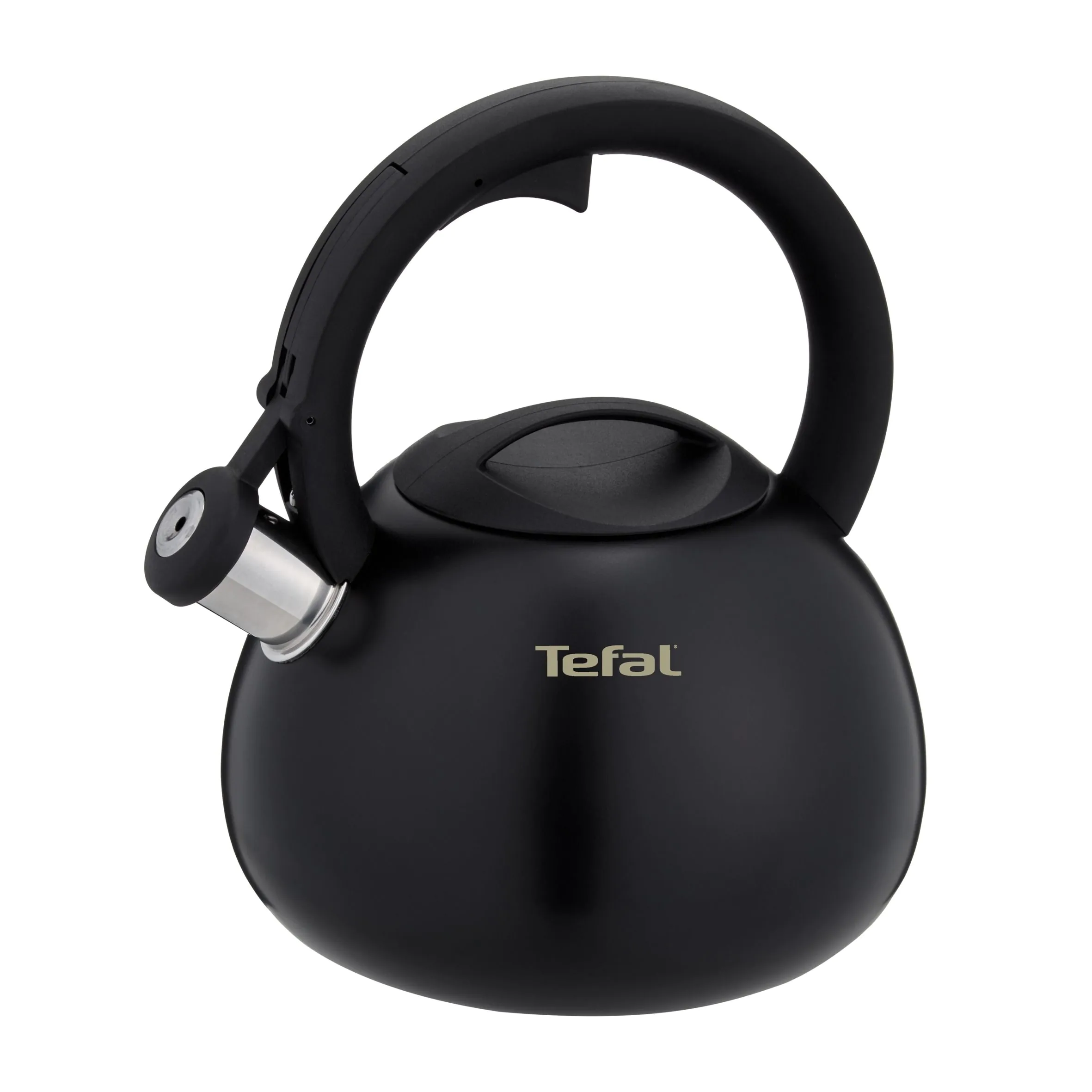 ᐉ Чайник зі свистком Tefal Duetto+ 2.5 л N4180410 ➡ купити в